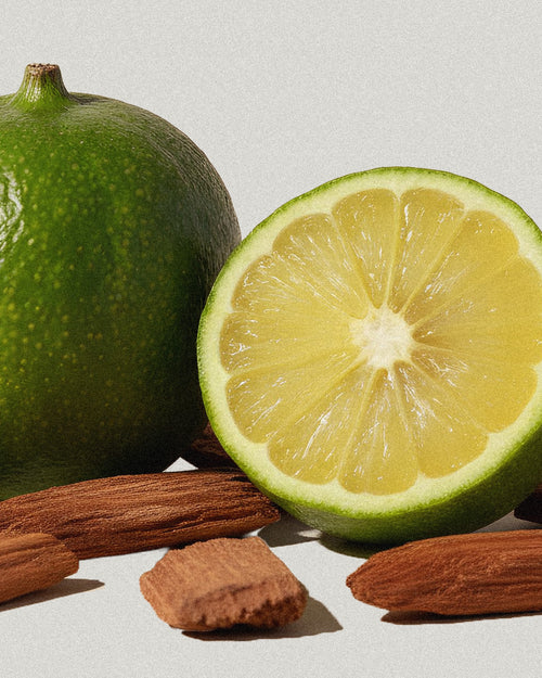 Oud Pulp